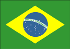 Portugues do Brasil